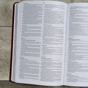 KJV Gift and Award Bible (Imitation Leather, Burgundy) - Bulk Case of 24