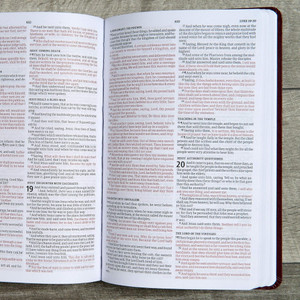 KJV Gift and Award Bible (Imitation Leather, Burgundy) - Bulk Case of 24