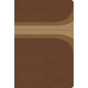 RVR 1960 Biblia de Estudio Arco Iris, Thumb Indexed (Imitation Leather, Canela/Damasco) RVR 1960 Biblia de Estudio Arco Iris, Thumb Indexed (Imitation Leather, Canela/Damasco)