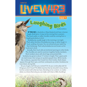 5PK - PreTeen (Grades 5-6) - Live Wire Take-Home (5 Students) - Heartshaper - Winter 2025-26