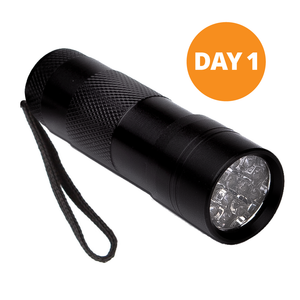 Handheld UV Light - Day 1 Imagination Station - Rainforest Falls by Group VBS 2026