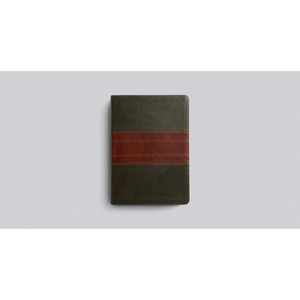 ESV Study Bible (TruTone, Forest/Tan) - Bulk Case of 6