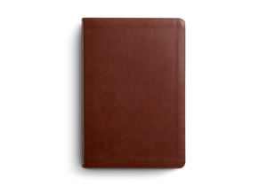 ESV Systematic Theology Study Bible: Theology Rooted in the Word of God - Chestnut (Case of 10)