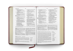 ESV Systematic Theology Study Bible: Theology Rooted in the Word of God - Chestnut (Case of 10)