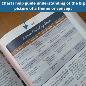 NIV The Woman's Study Bible, Standard Print (Hardcover)