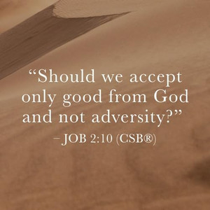 Job - Storyteller - Bible Study Book: Discovering God