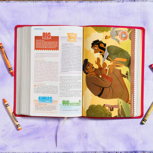 CSB One Big Story Bible, Pink LeatherTouch - Case of 24