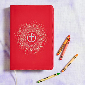 CSB One Big Story Bible, Pink LeatherTouch - Case of 24