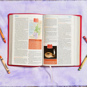 CSB One Big Story Bible, Pink LeatherTouch - Case of 24