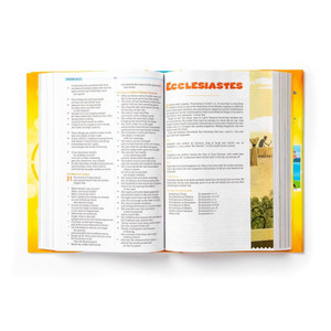 CSB One Big Story Bible, Hardcover - Bulk Case of 16
