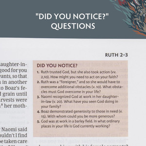 CSB Experiencing God Bible, Hardcover, Jacketed - Bulk Case of 8