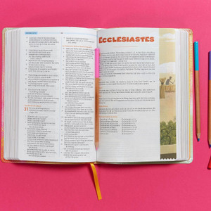 CSB One Big Story Bible, Rainbow Dust LeatherTouch - Case of 16