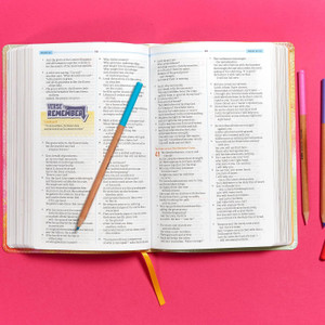 CSB One Big Story Bible, Rainbow Dust LeatherTouch - Case of 16