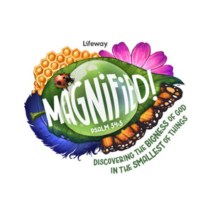Logo Iron-On Transfers (Pack of 10) - Approx 4" x 4" - Magnified! VBS 2025 by Lifeway Logo Iron-On Transfers (Pack of 10) - Approx 4" x 4" - Magnified! VBS 2025 by Lifeway