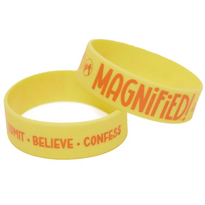 Gospel Wristbands Pkg. 10 - Magnified! VBS 2025 by Lifeway Gospel Wristbands Pkg. 10 - Magnified! VBS 2025 by Lifeway