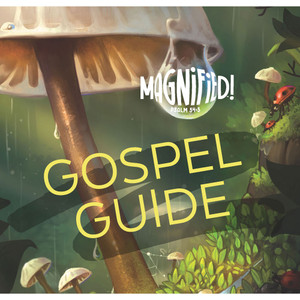 Gospel Guide Pkg. 20 - Magnified! VBS 2025 by Lifeway Gospel Guide Pkg. 20 - Magnified! VBS 2025 by Lifeway