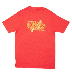 Adult Red Honeycomb T-Shirt - Adult 3XL - Magnified! VBS 2025 by Lifeway