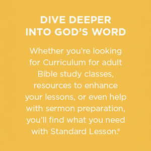 NIV Standard Lesson Commentary - Softcover - 2025-2026