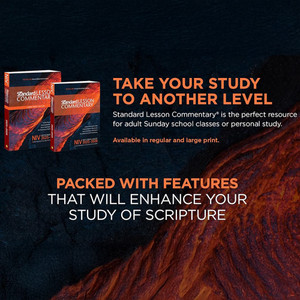 NIV Standard Lesson Commentary - Large Print Softcover - 2025-2026 NIV Standard Lesson Commentary - Large Print Softcover - 2025-2026
