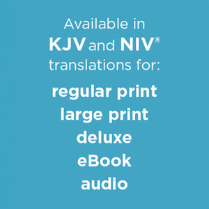 NIV Standard Lesson Commentary - Deluxe Edition - 2025-2026