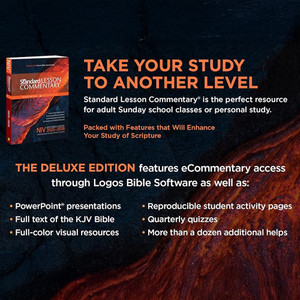 NIV Standard Lesson Commentary - Deluxe Edition - 2025-2026