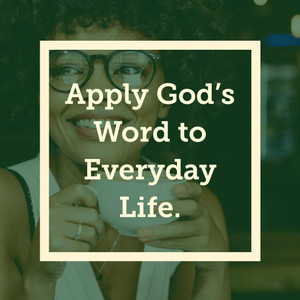 NLT Life Application Study Bible, Third Edition, Large Print (Leatherlike, Teal Blue) - Case of 6