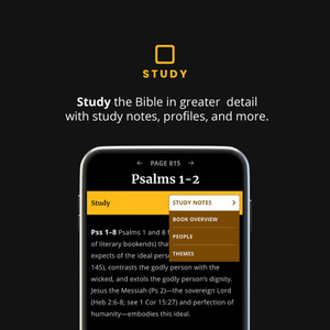 NLT Wide Margin Bible, Filament Enabled Edition  - Dark Brown LeatherLike w/ Palm  Indexed