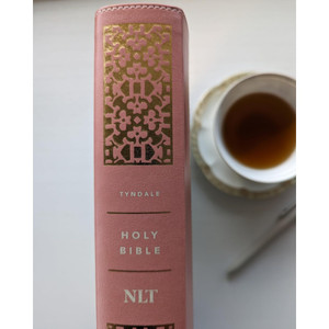 NLT Wide Margin Bible, Filament Enabled (Imitation Leather, Dusty Pink Blossoms) - Bulk Case of 12