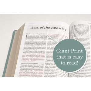 NLT Personal Size Giant Print Bible, Filament Enabled (LeatherLike, Floral Frame Teal, Red Letter) - Case of 16