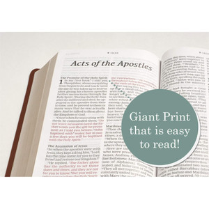 NLT Personal Size Giant Print Bible, Filament Enabled (LeatherLike, Rustic Brown, Red Letter) - Case of 16