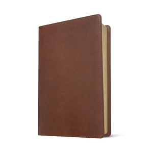 NLT Super Giant Print Bible, Filament Enabled (Imitation Leather, Brown) - Bulk Case of 10