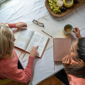CSB Study Bible (Leather Touch, Rose Gold) - Bulk Case of 8