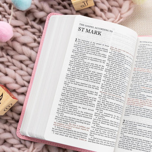 KJV Great and Small Bible, Children (LeatherTouch, Pink) - Bulk Case of 28