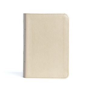 CSB Large Print Compact Reference Bible (LeatherTouch, Gold) - Bulk Case of 24