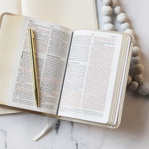 CSB Large Print Compact Reference Bible (LeatherTouch, Gold) - Bulk Case of 24