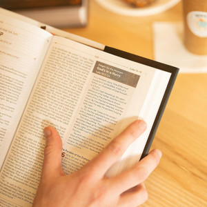 CSB Men's Daily Bible (Hardcover) - Bulk Case of 12