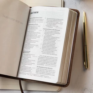 CSB Large Print Compact Reference Bible, Large Print (LeatherTouch, Brown) - Bulk Case of 24