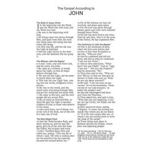 NASB 2020 Large Print Text Bible, Brown Leathertex - Bulk Case of 16 NASB 2020 Large Print Text Bible, Brown Leathertex - Bulk Case of 16