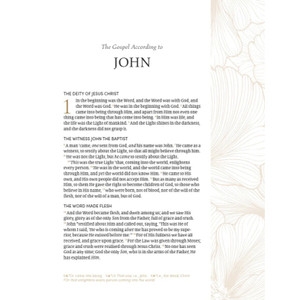 NASB 2020 The Beauty of Scripture Bible, Tan Leathertex