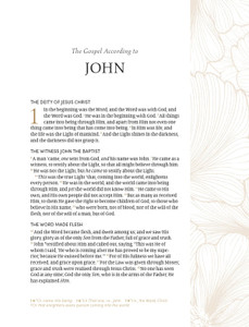 NASB 2020 The Beauty of Scripture Bible, Full-Color Hardcover