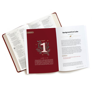 Behold the Savior - Advent Bible Study Book for Women: Treasuring the Story of Christmas