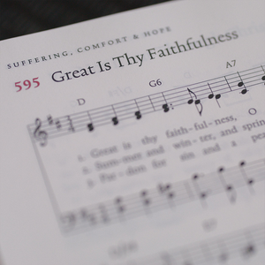 The Sing! Hymnal (Hardcover)