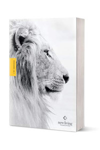 NLT Courage For Life Study Bible for Men (Filament Enabled), Softcover - Bulk Case of 10