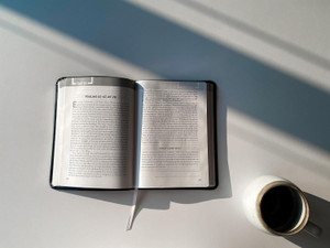 The Bible Recap: A One-Year Guide to Reading and Understanding the Entire Bible, Personal Size (Bonded Leather, Black) - Bulk Case of 24