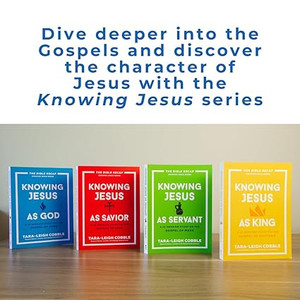 Acts: 10-Week Bible Study (Bible Recap Knowing God Series) - Bulk Case of 24