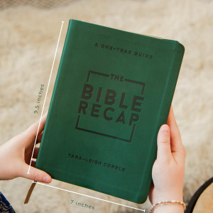 The Bible Recap: A One-Year Guide to Reading and Understanding the Entire Bible, Deluxe Edition (Imitation Leather, Forest Green) - Bulk Case of 12