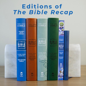 The Bible Recap: A One-Year Guide to Reading and Understanding the Entire Bible, Deluxe Edition (Imitation Leather, Forest Green) - Bulk Case of 12