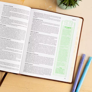CSB Journal and Draw Bible for Kids (LeatherTouch, Brown)