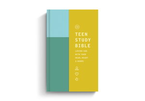 ESV Teen Study Bible (Hardcover, Wellspring) - Bulk Case of 12