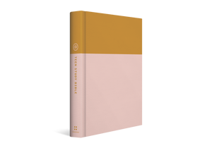 ESV Teen Study Bible (Hardcover, Desert Sun) - Bulk Case of 12